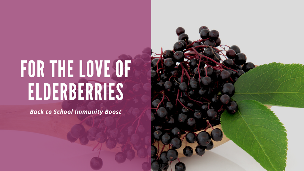 Elderberry Tea and Syrup Your BacktoSchool Immunity Boost Birds