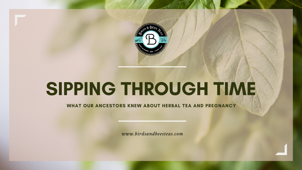 Sipping Through Time: What Our Ancestors Knew About Herbal Tea and Pregnancy