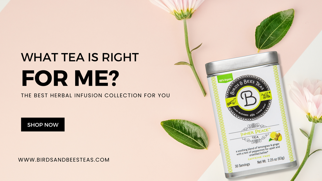 What Tea Is Right For Me?
