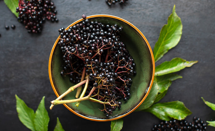 3 Easy Ways to Experience the Immune-Boosting Health Benefits of Elderberries