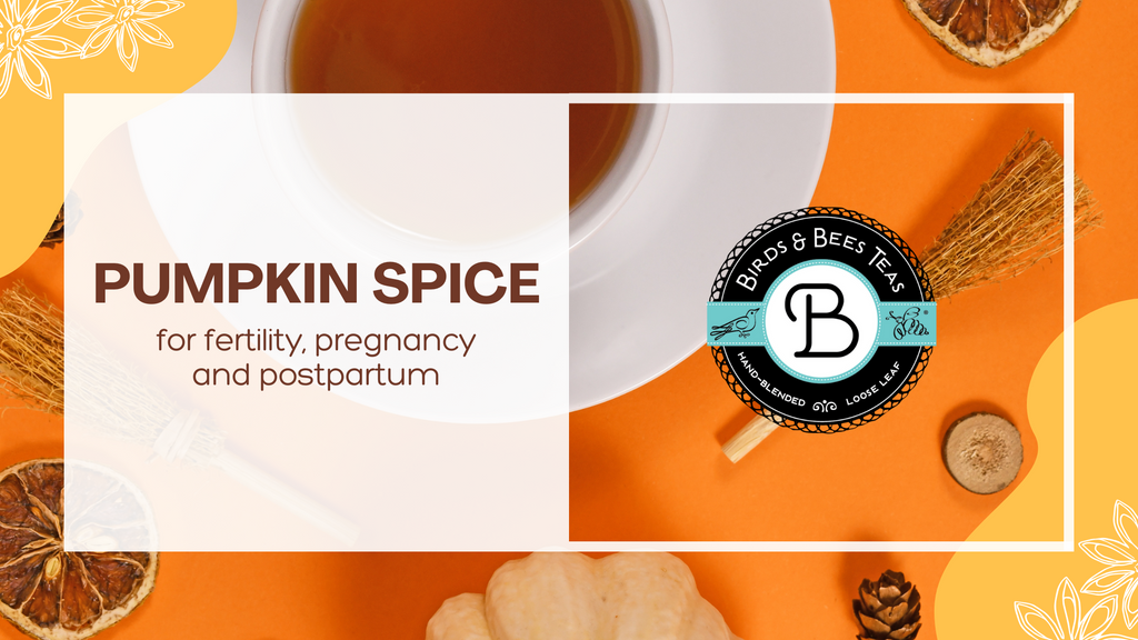 Pumpkin Spice Delights for Fertility, Pregnancy, and Postpartum Wellness: A Flavorful Journey