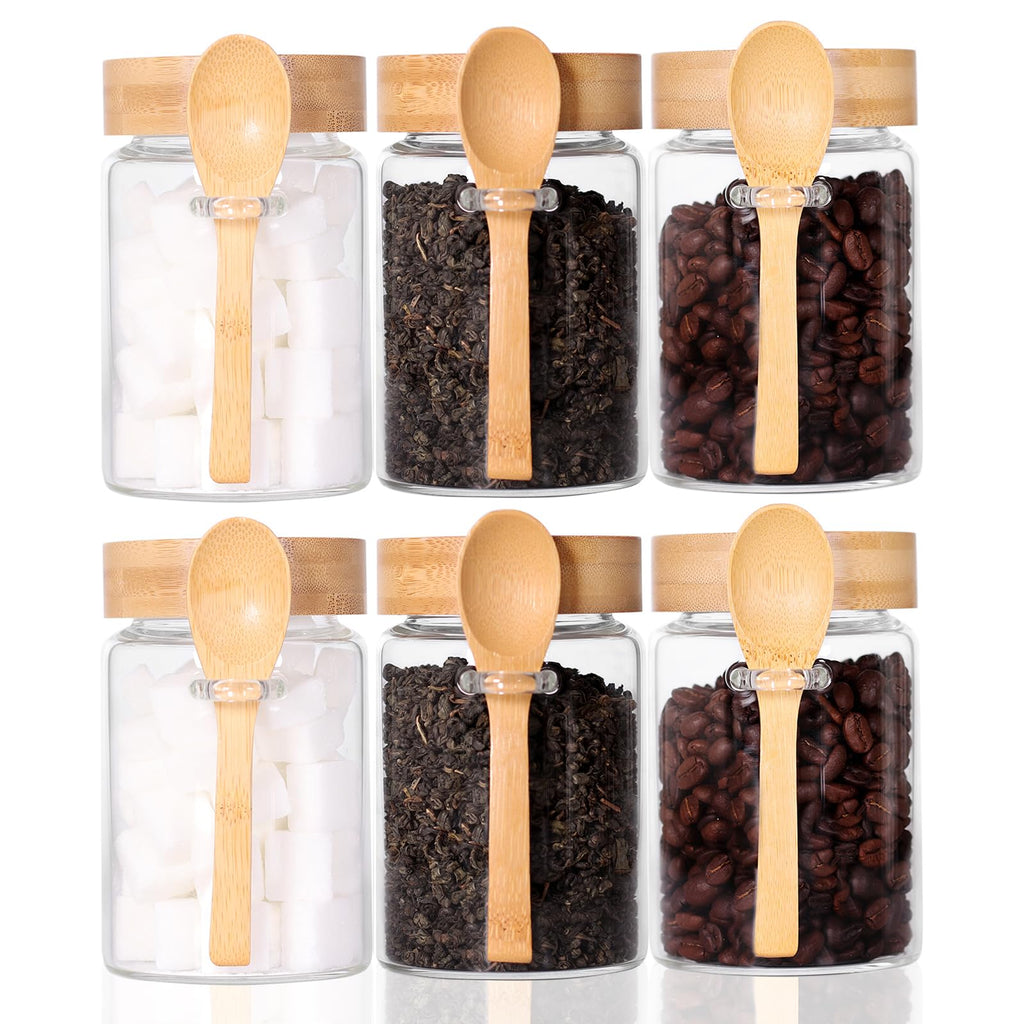 LEAVES AND TREES Y 16 OZ Tea Jars Screw Top for Loose Tea, Set of 6 Loose Leaf Tea Container Airtight, Glass Jars with Screw on Lids and Spoons, Overnight Oats Containers with Lids