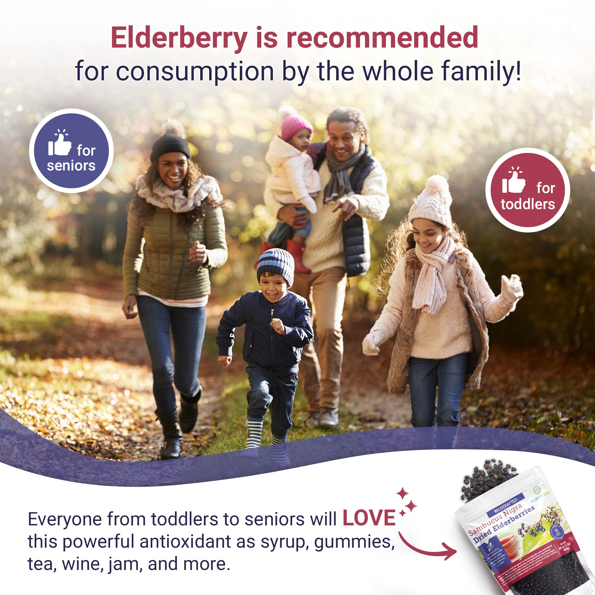 Elderberries Hand-Sorted and Wildcrafted, Purify Life, One Pound