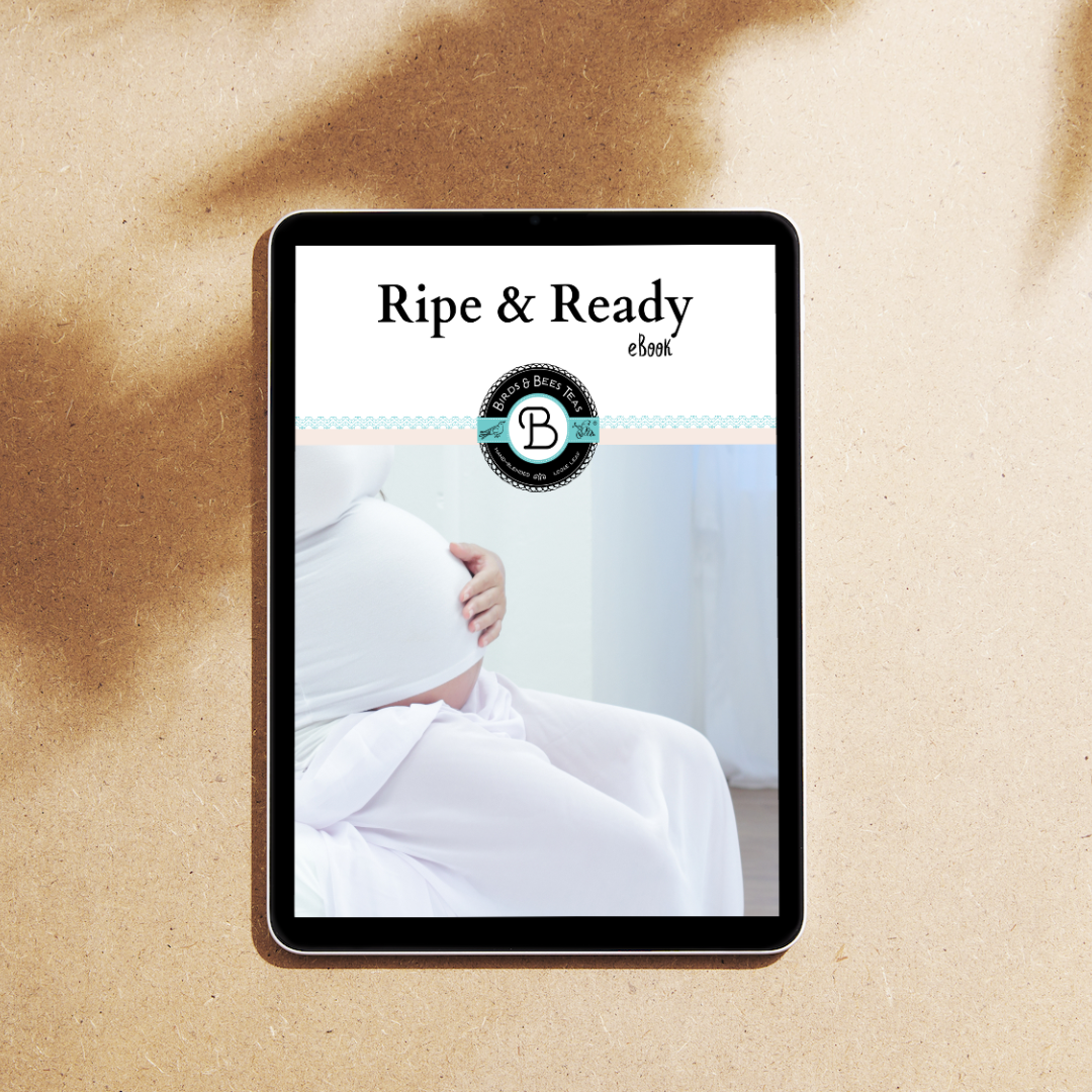 Ripe & Ready - EBook: Your Go-To Guide for the Pregnancy Homestretch